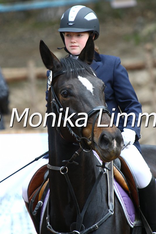 005L3547_Zaphira_Springreiter WB.JPG